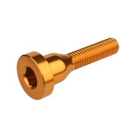 Burgtec šroubek víčka hlavového složení - Burgtec Bullion Gold