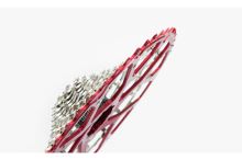 GARBARUK kazeta 11° (SRAM XD Freehub) 10-(46T, 48T, 50T) (3)